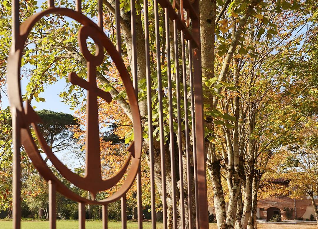 Chateau Du Go Albi Exterior foto