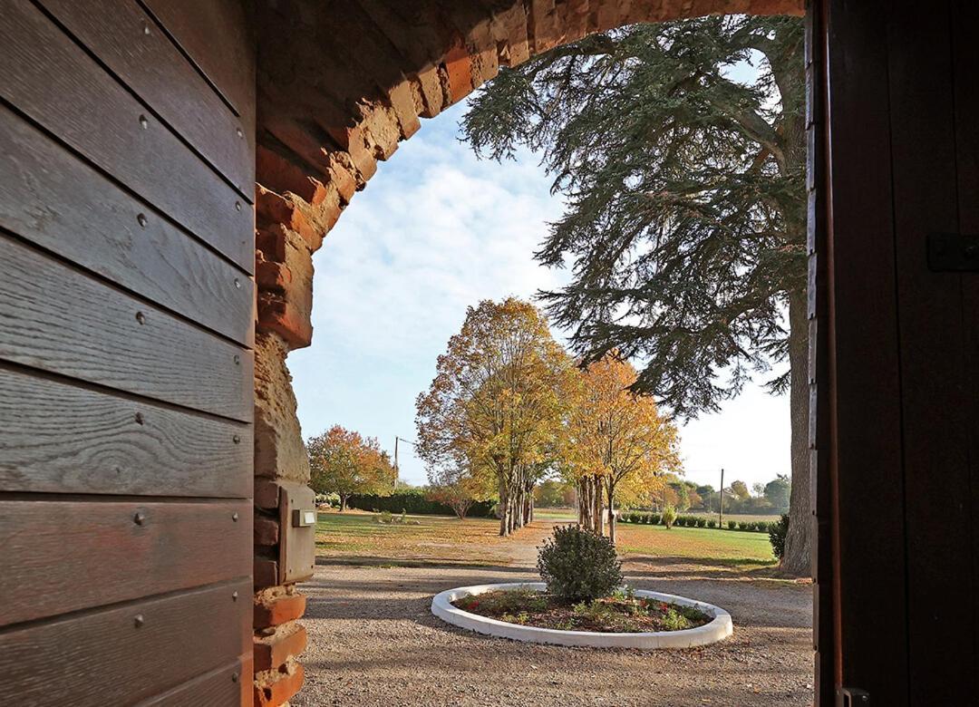 Chateau Du Go Albi Exterior foto
