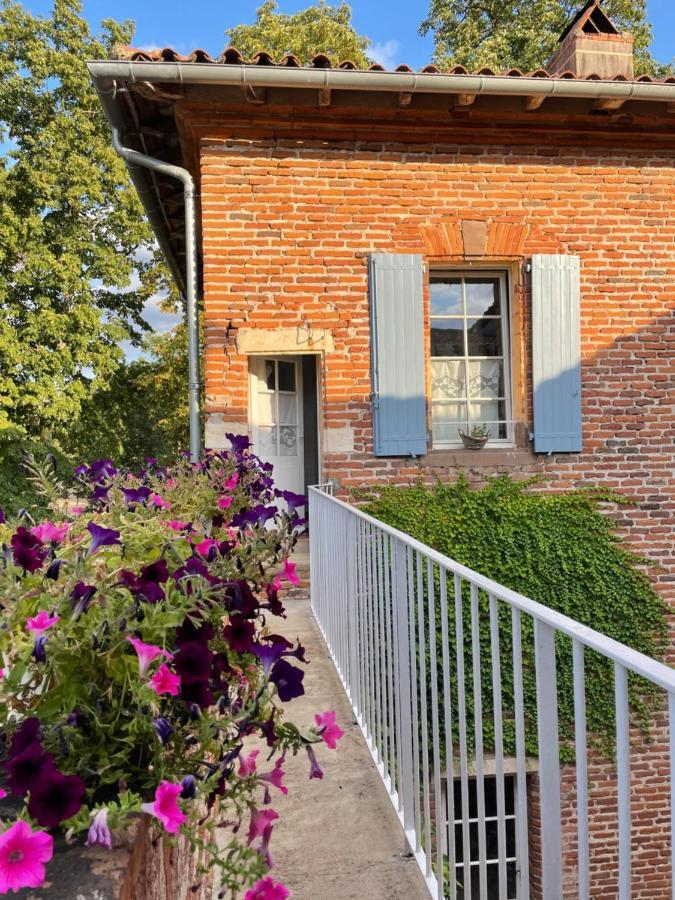 Chateau Du Go Albi Exterior foto