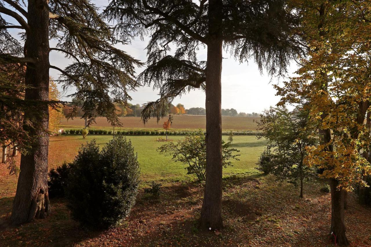 Chateau Du Go Albi Exterior foto