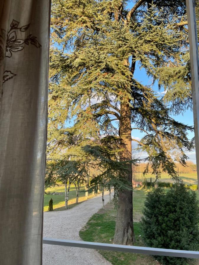 Chateau Du Go Albi Exterior foto